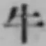 文字牛
