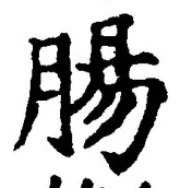 “腸”字