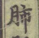 글자 肺