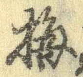 已定位梅