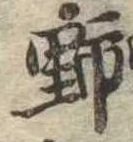 位置 確認된 野