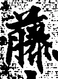 “藤”字