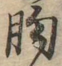 位置定マレル胸