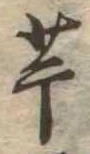 已定位芋