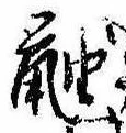 已定位鼬