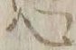 “ヒ”字