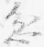 忿の位置