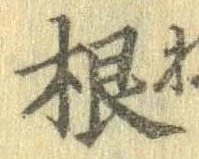 Đã định vị 根