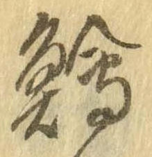 鱠の位置