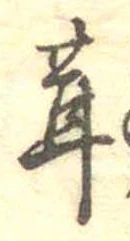 位置定マレル茸