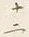 字十
