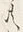 字に
