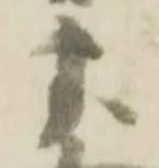 虎の位置