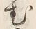 文字む