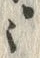 𡨸・