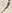 “也”字