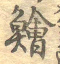 鱠の位置