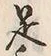 𡨸是