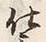 Character 置