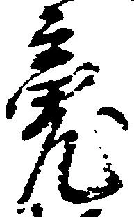 魂の位置