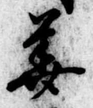 已定位華