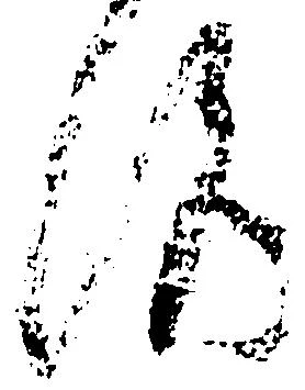 Đã định vị 洛