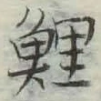 Character 鯉