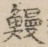 已定位鰻