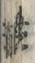 “藤”字