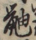 已定位鼬