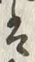 Character 外