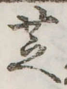 位置 確認된 芝