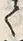 字運