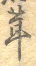 位置定マレル茸