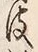 文字皮