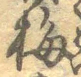 已定位梅