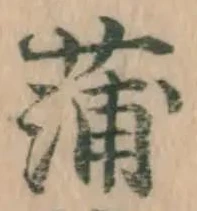 字蒲