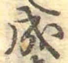 已定位成