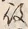 Character 役