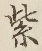 Character 紫