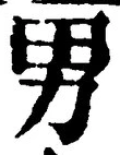 글자 男