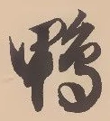 字鴨