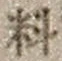Character 料