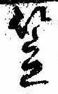 笠，已得其位