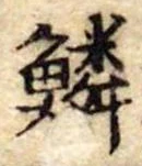 位置 確認된 鱗