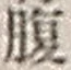 字腹