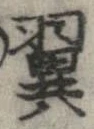 已定位翼