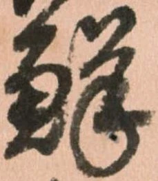 位置 確認된 鮮
