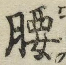 字腰