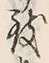 文字 致